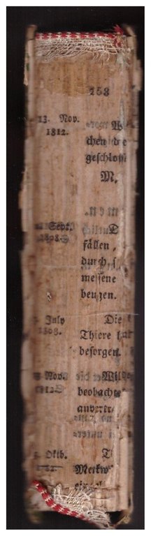 DAL PROFONDO (1921) | Immagine Gallery 4