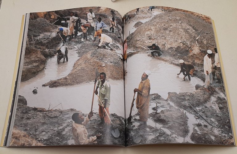 Dall'Africa | Immagine Gallery 4