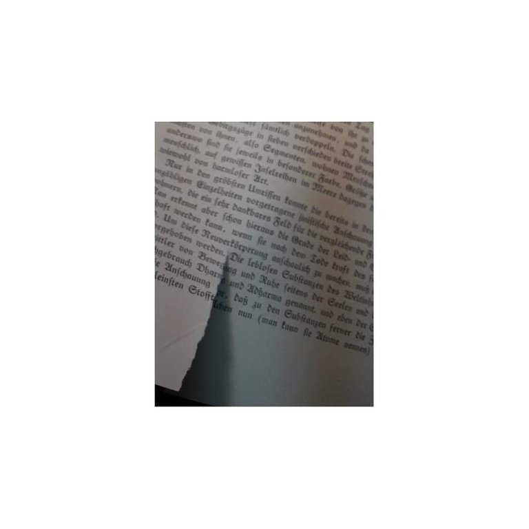 DAS LICHT DES OSTENS(anni '20)