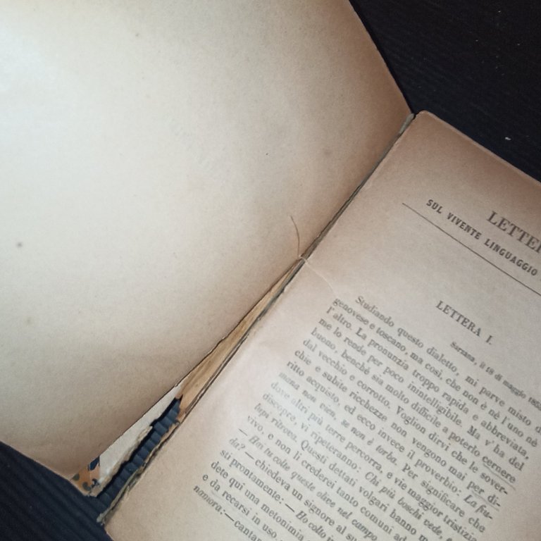 Delizie del parlare toscano Vol. I Lettere