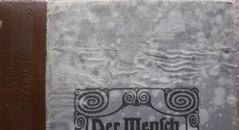 DER MENSCH ALLER ZEITEN-Band III-ERSTER TEIL-GESELLSCHAFT UND WIRTSCHAFT DER VOLKER(