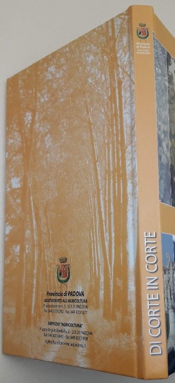 DI CORTE IN CORTE(2006)