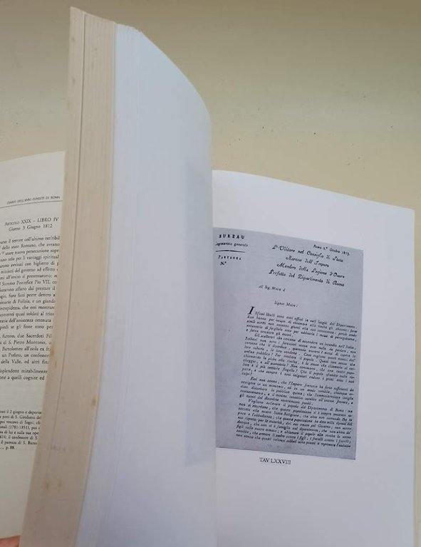 DIARIO DELL'ANNI FUNESTI DI ROMA DALL'ANNO MDCCXCIII AL MDCCCXIV( 1995)