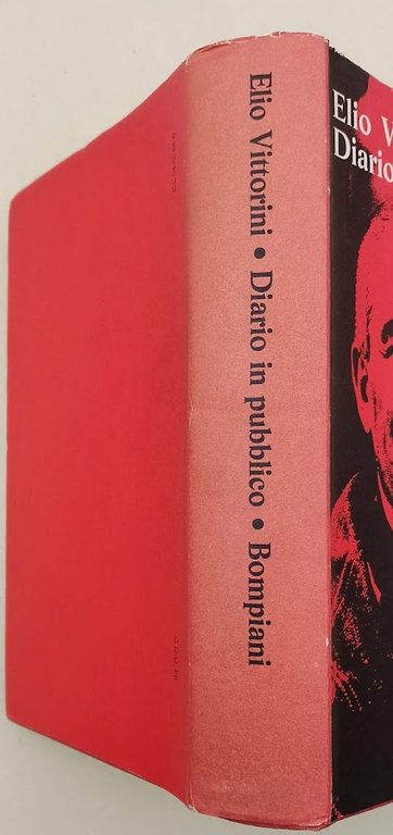 DIARIO IN PUBBLICO(1970)