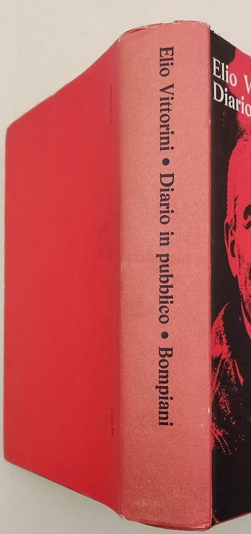 DIARIO IN PUBBLICO(1970)
