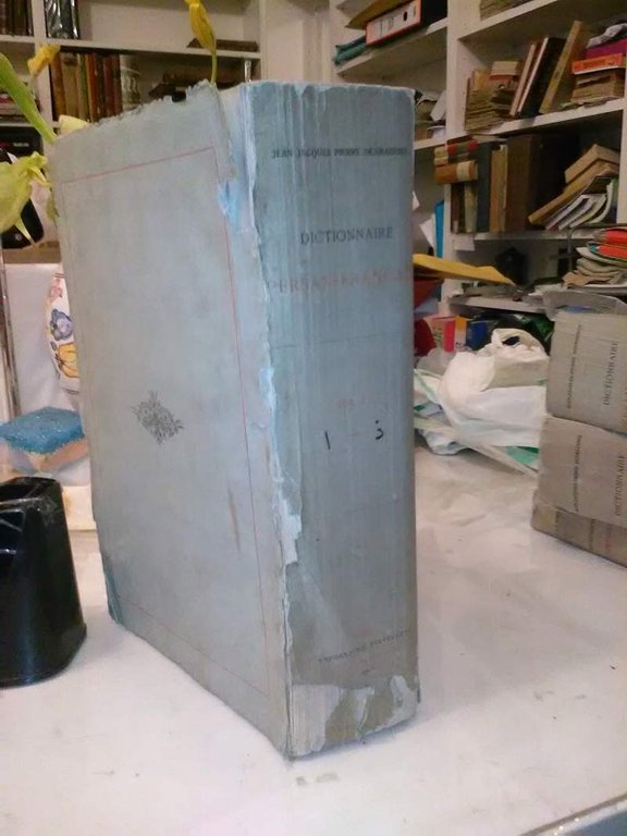 DICTIONNAIRE PERSAN-FRANCAIS PUBLIE' PAR SES NEVEUX