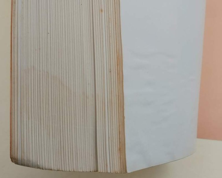 DIE KULTURGESCHICHTE DES JAPANISCHEN BAUERNHAUSES(1963)