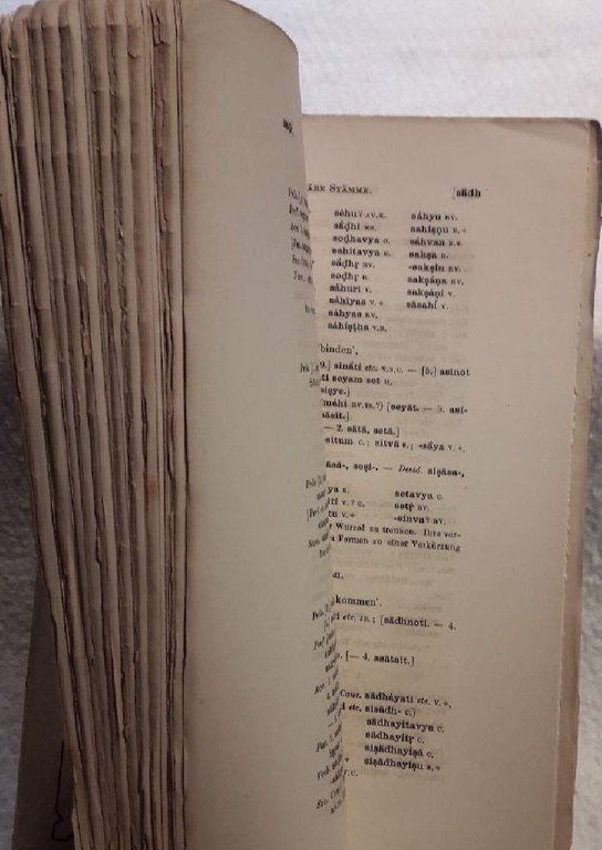DIE WURZELN, VERBALFORMEN UND PRIMAREN STAMME DER SANSKRIT-SPRACHE( 1885) | Immagine Gallery 6