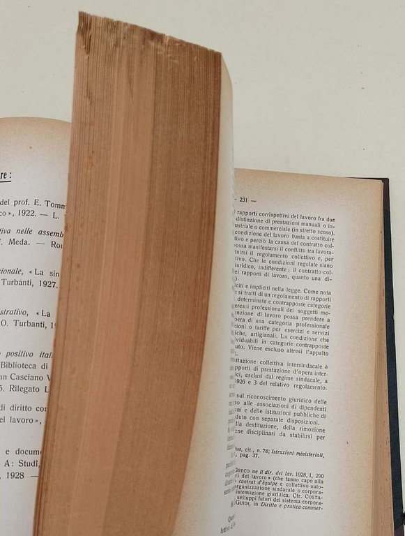 DIRITTO PROCESSUALE DEL LAVORO- vol. I-( 1929)