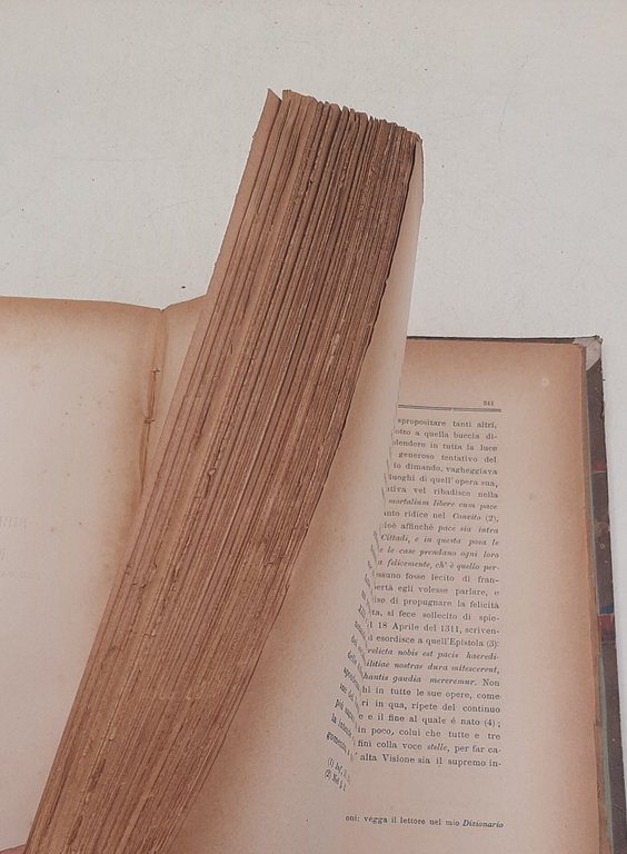 Dizionario dei sinonimi della lingua italiana | Immagine Gallery 3