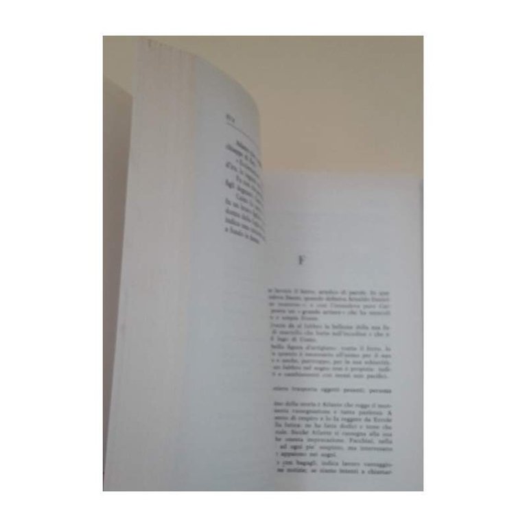 DIZIONARIO DELLE SUPERSTIZIONI(1985)