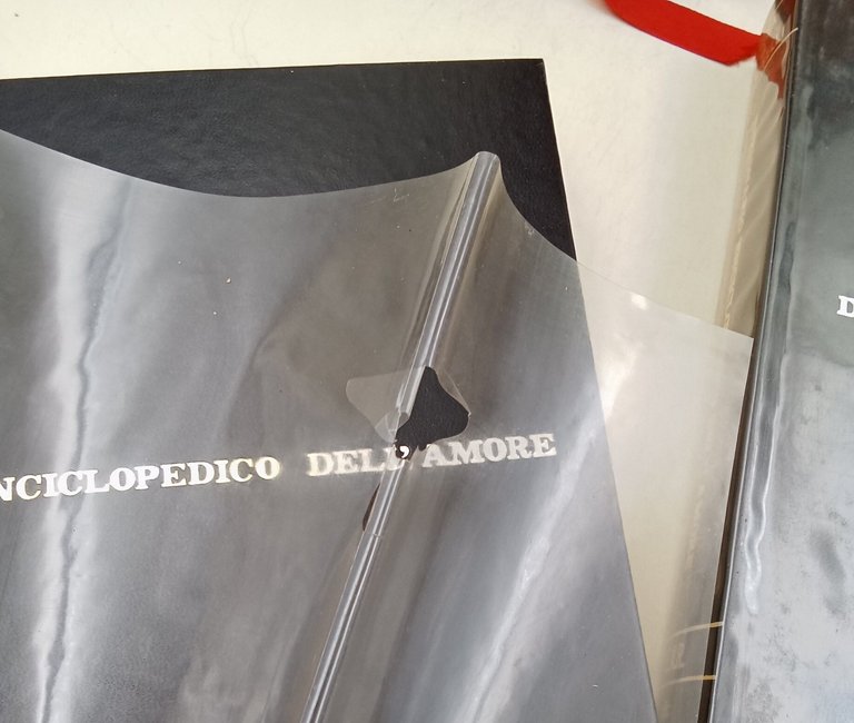 Dizionario enciclopedico dell'amore- 2 voll. | Immagine Gallery 5