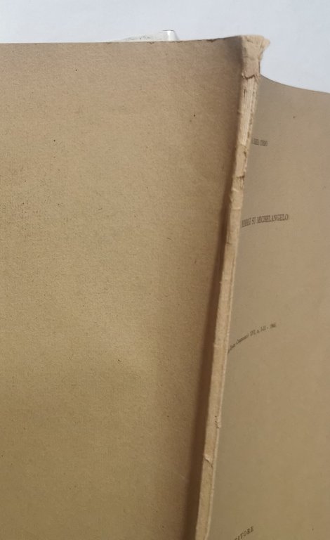Documentiromani su Michelangelo