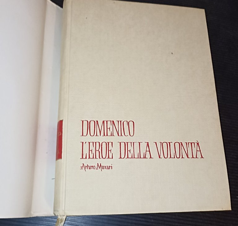 Domenico l'eroe della volontà