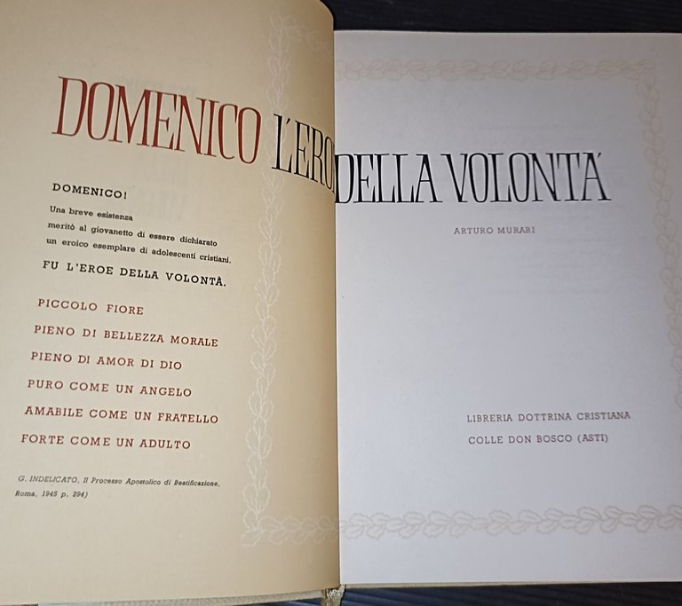 Domenico l'eroe della volontà