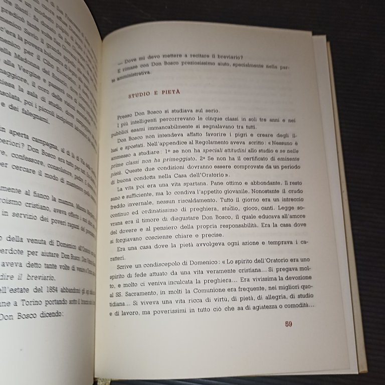 Domenico l'eroe della volontà