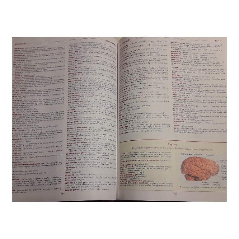 DORLAND'S ILLUSTRATED MEDICAL DICTIONARY(2003)