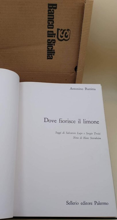DOVE FIORISCE IL LIMONE(1983)
