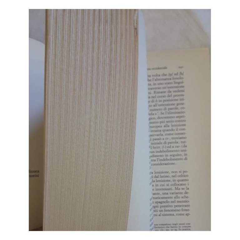 ECONOMIA DEI MUTAMENTI FONETICI-TRATTATO DI FONOLOGIA DIACRONICA(1968)