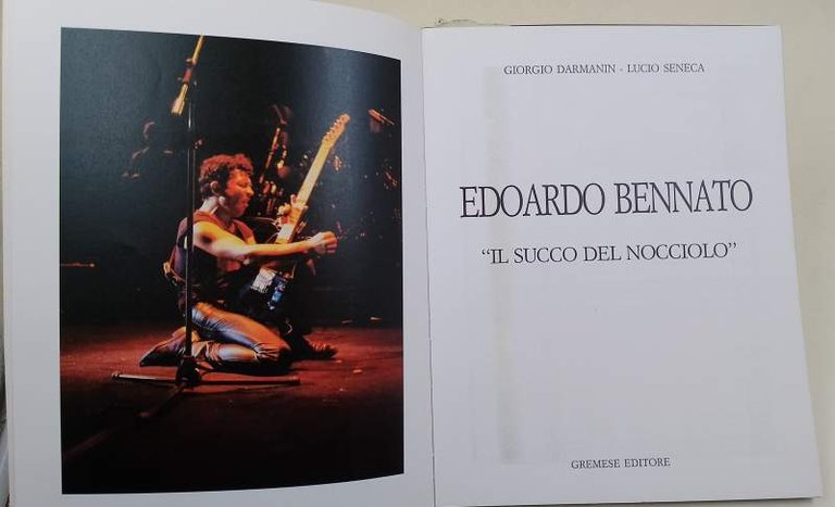 EDOARDO BENNATO-IL SUCCO DEL NOCCIOLO(1988)