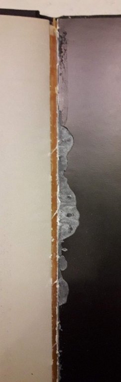 EDVARD MUNCH- 1863/1944 | Immagine Gallery 6