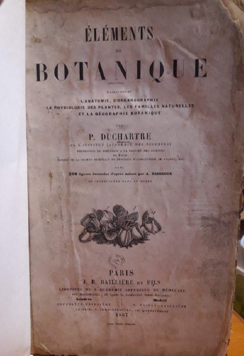 ELEMENTS DE BOTANIQUE COMPRENANT L'ANATOMIE, L'ORGANOGRAPHIE, LA PHYSIOLOGIE DES PLANTES, …