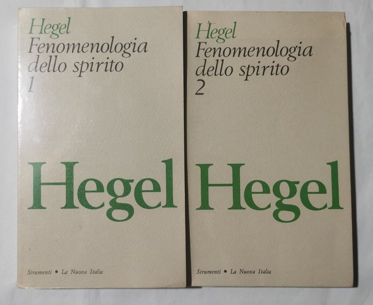 Fenomenologia dello spirito - 2 Voll.