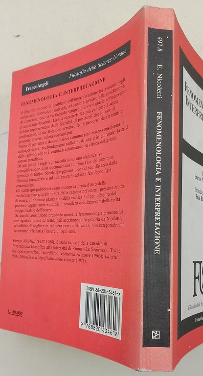 Fenomenologia e interpretazione