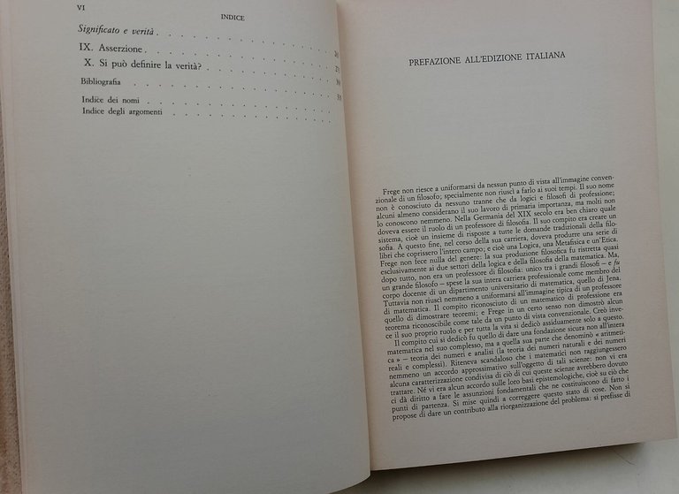 Filosofia del linguaggio-Saggio su Frege