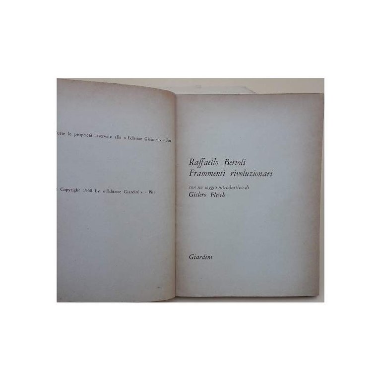 FRAMMENTI RIVOLUZIONARI(1968)