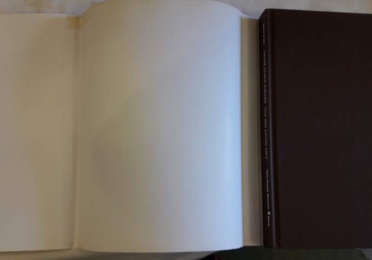 FRANK LLOYD WRIGHT AND THE LIVING CITY(1998)