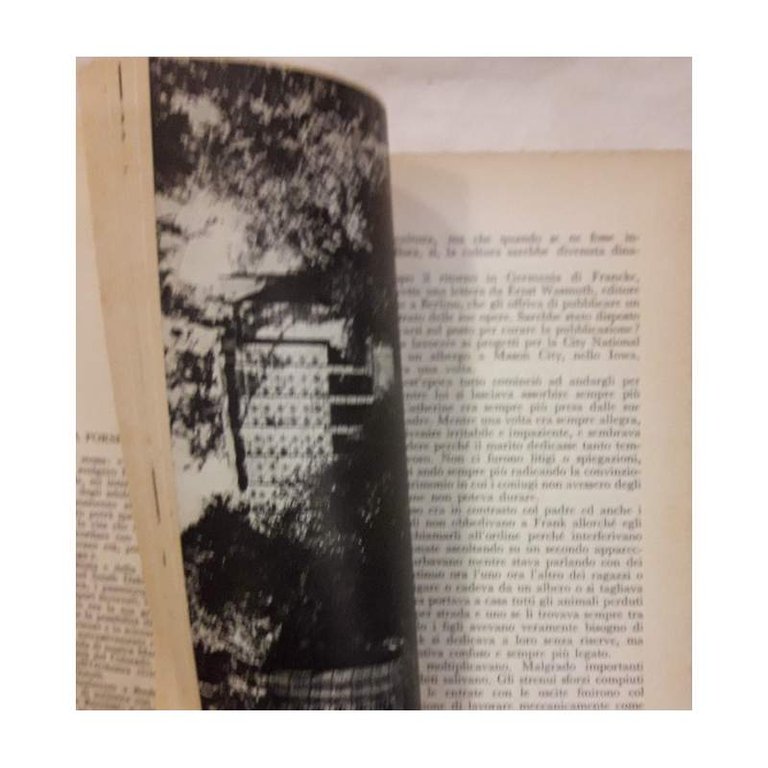 FRANK LLOYD WRIGHT-ARCHITETTO RIBELLE(1962)