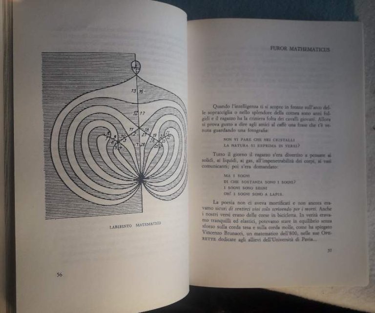 FUROR MATHEMATICUS(1967)