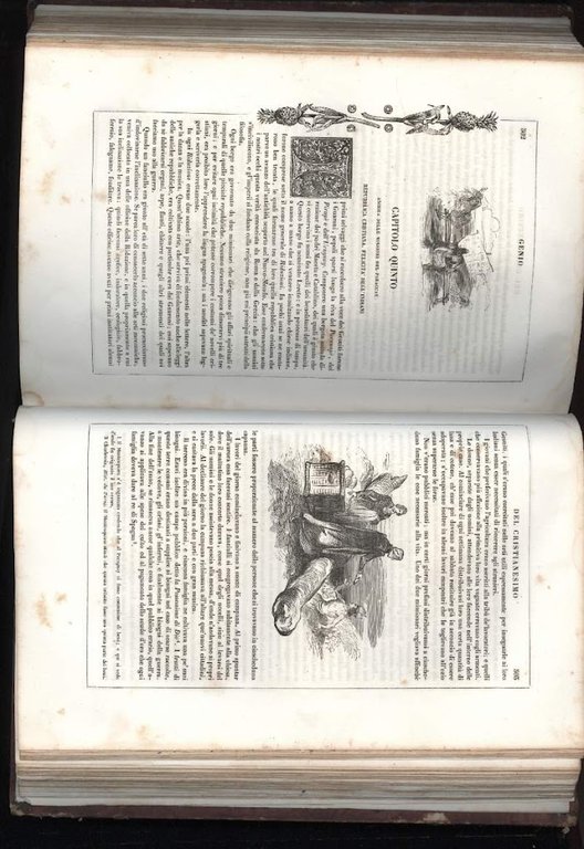 GENIO DEL CRISTIANESIMO(1843) | Immagine Gallery 5