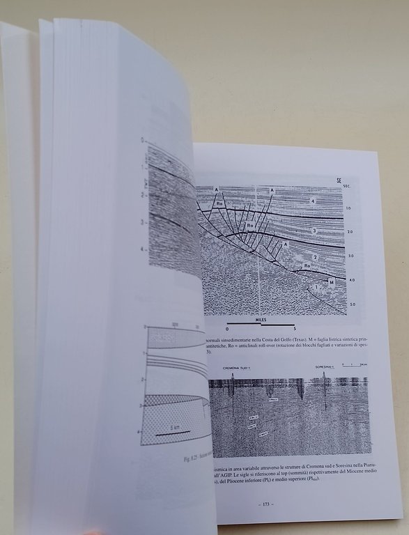 Geologia degli idrocarburi