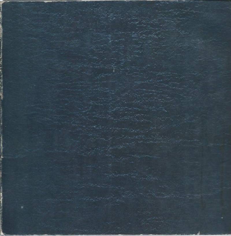 GIULIO TURCATO - LA PITTURA COME AZIONE INTERIORE (1980)