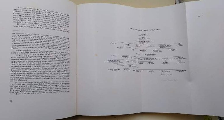 GIUSEPPE GIOACCHINO BELLI E LE SUE DIMORE(1987)