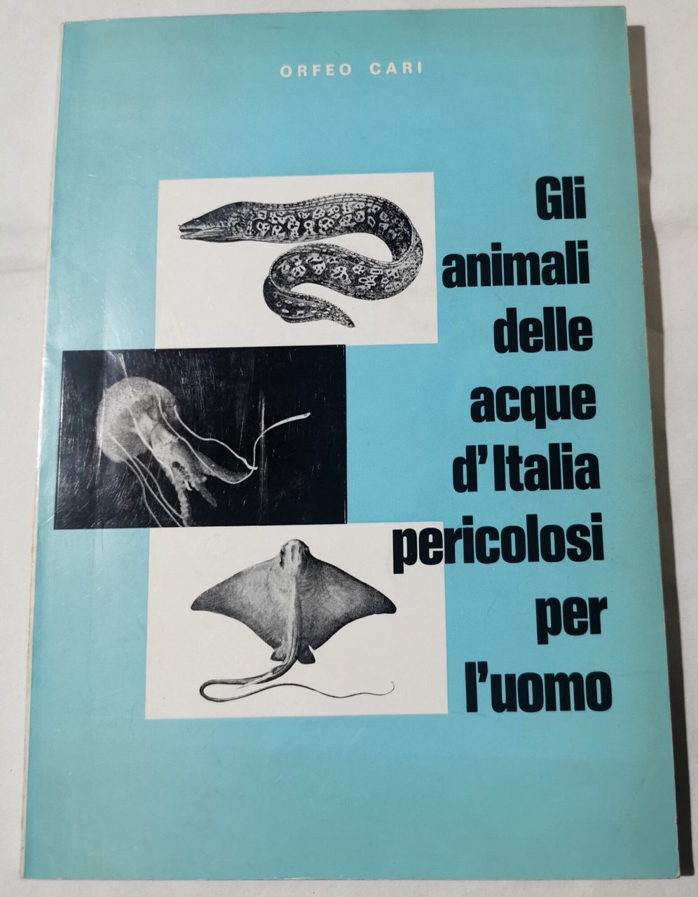 Gli animali delle acque d'Italia pericolosi per l'uomo