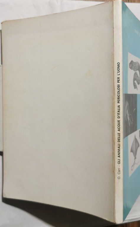 Gli animali delle acque d'Italia pericolosi per l'uomo