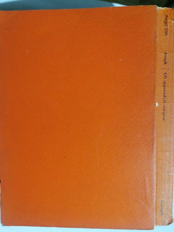 Gli apprendisti stregoni