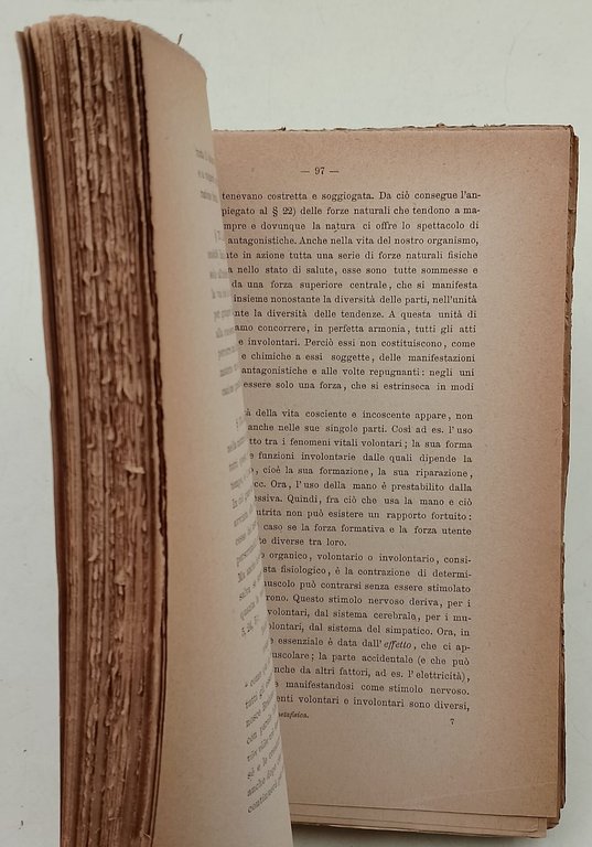 Gli elementi della Metafisica