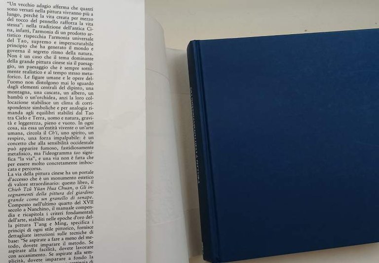 GLI INSEGNAMENTI DELLA PITTURA DEL GIARDINO GRANDE COME UN GRANELLO …