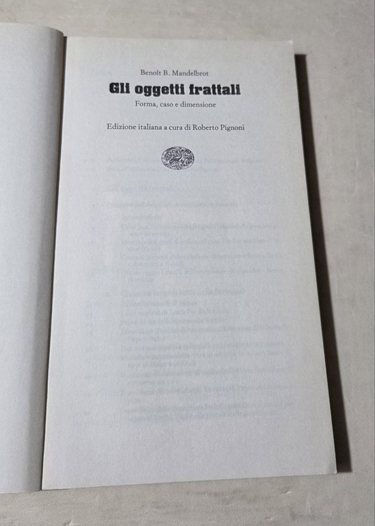 Gli oggetti frattali. Forma, caso e dimensione
