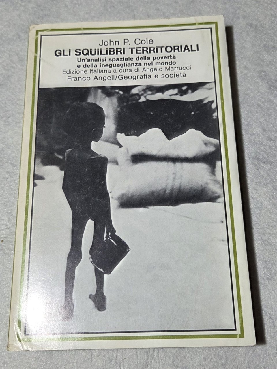 Gli squilibri territoriali - Un'analisi spaziale della poverta' e della … | Immagine principale