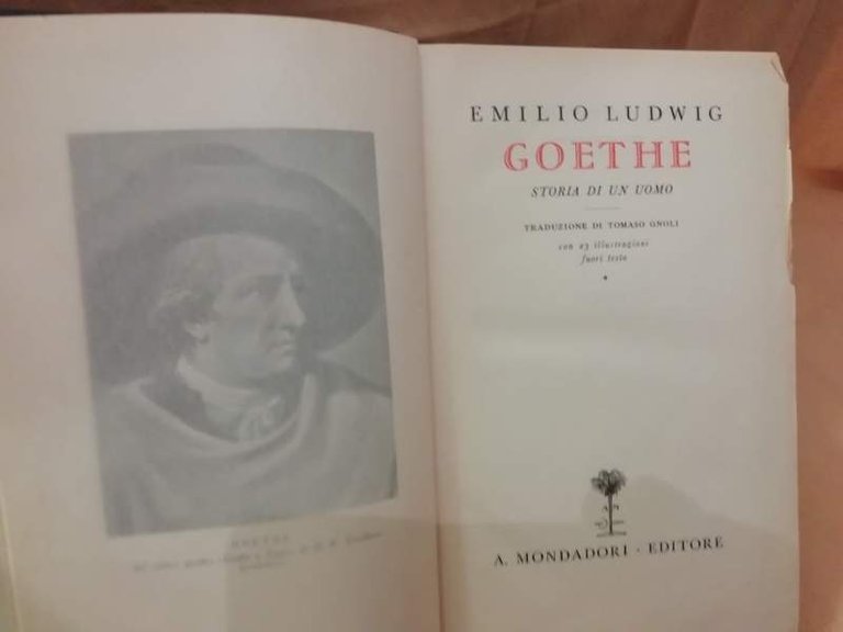 GOETHE storia di un uomo (1932)