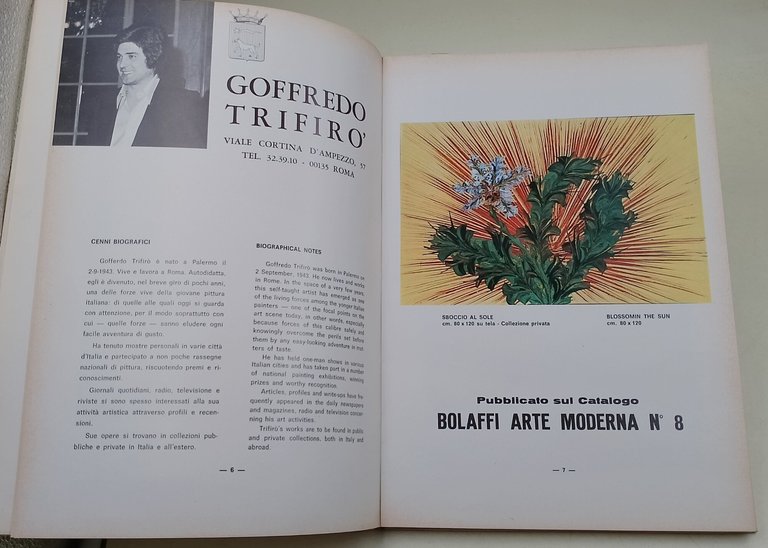 Goffredo Trifiro'-allo specchio della critica