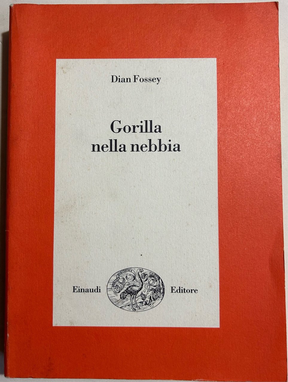 Gorilla nella nebbia | Immagine principale