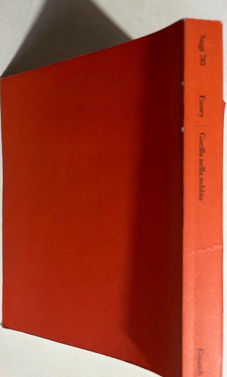 Gorilla nella nebbia | Immagine Gallery 3