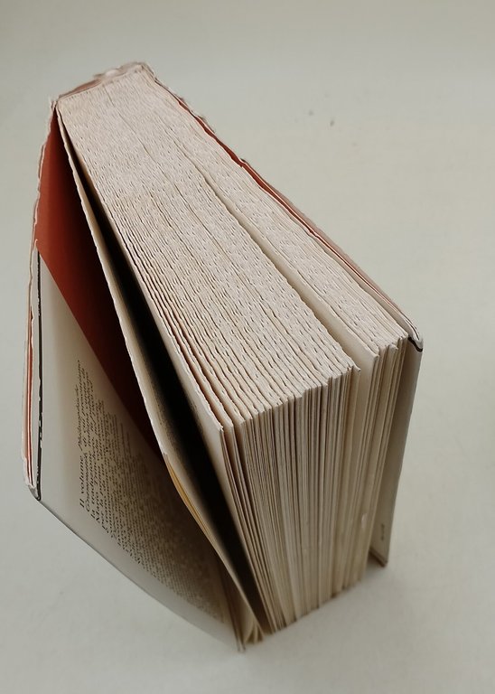 Grammatica filosofica