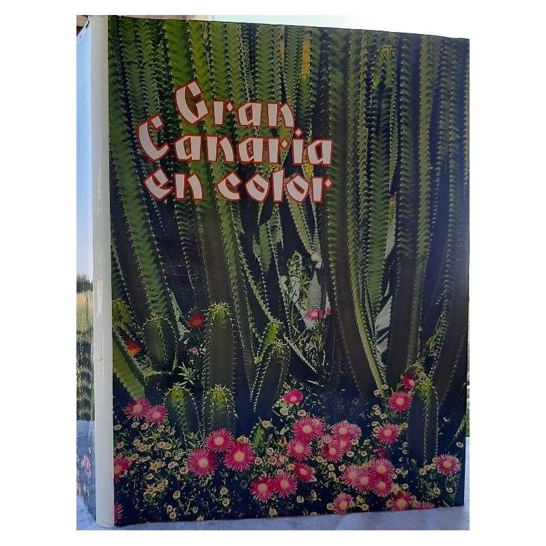 GRAN CANARIA EN COLOR